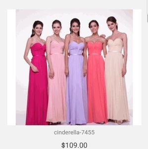 Cinderella Devine Size bridesmaids dress